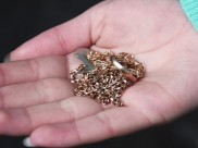 Девушка смогла вырвать украшение из рук грабителя.