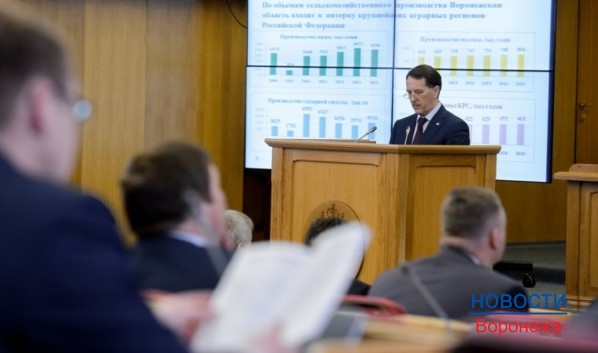 Алексей Гордеев зачитал отчет перед депутатами.