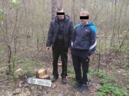 Номера они прятали неподалеку.