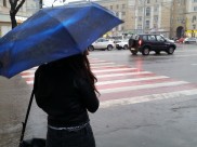 В Воронежской области ожидаются дожди.