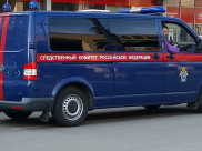 Следственный комитет проводит проверку.