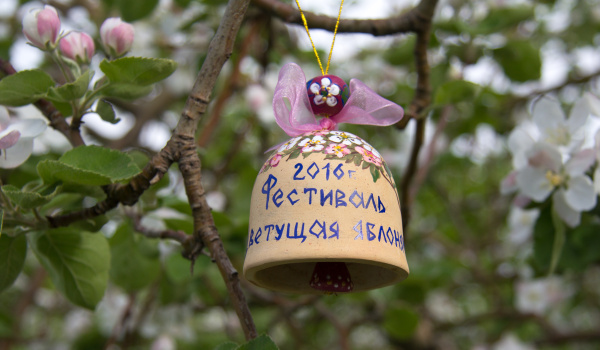 В Воронежской области провели фестиваль «Цветущая яблоня».