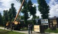 Медведя Умку перемещают в новый вольер.