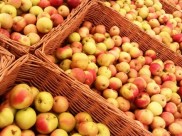 50 кг яблок раздавили на полигоне.