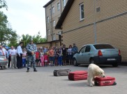Воронежцам показали, как работает кинологический центр.