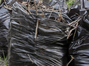 Под Воронежем будут перерабатывать мусорные отходы.