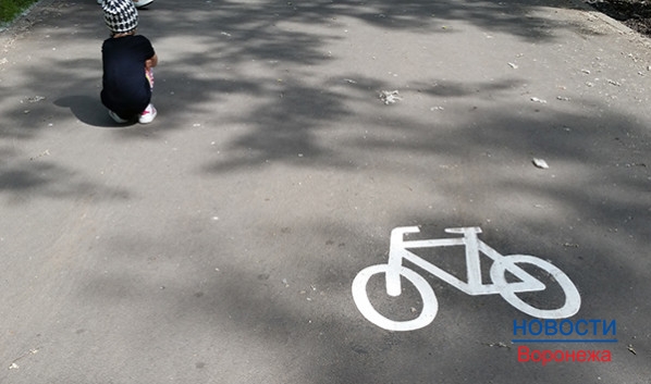 В Воронеже появятся велосипедные маршруты.