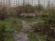 Существовавший сквер уничтожили.