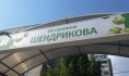 ЧП произошло на Шендрикова.