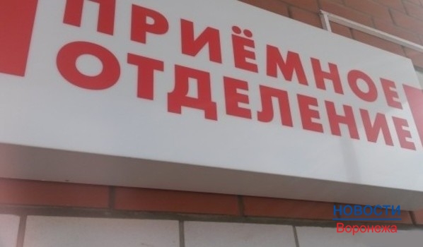 Воронежцы обращаются к медикам с жалобами на укусы клещей.