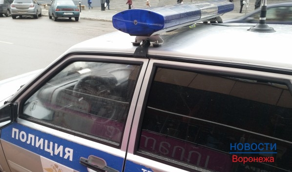 Полицейские за сутки зафиксировали множество нарушений.