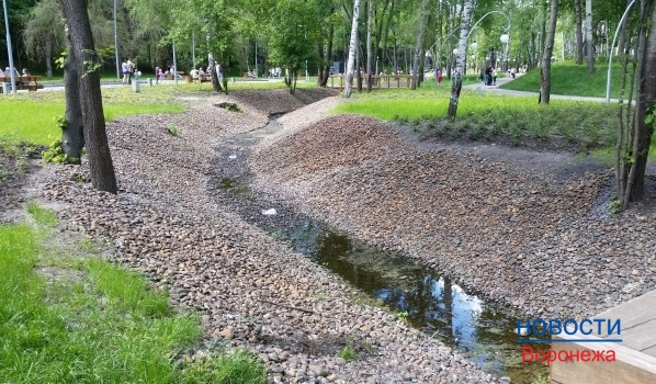 Воронежцев ждет комфортная погода.
