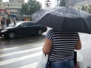 В Воронеже пройдут дожди с грозами.