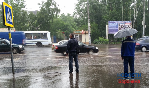 В Воронеже на неделе будут идти дожди.