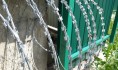 Убийство произошло в колонии строгого режима.