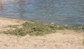Около водоема устроили свалку мусора.