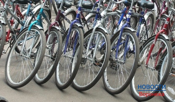 Парни украли 9 велосипедов.