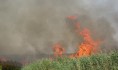 При такой погоде легко могут возникнуть сильные пожары.