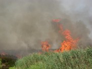 При такой погоде легко могут возникнуть сильные пожары.