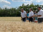 Губернатор посетил крестьянско-фермерское хозяйство.