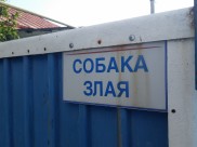 Украденных птиц обнаружили в соседском дворе.