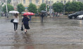 Воронеж на выходных заливают дожди.
