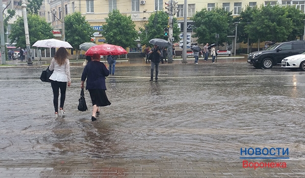 Воронеж на выходных заливают дожди.