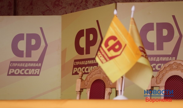 Депутат призвал проверить документы «СР» и ликвидировать партию.