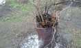 Разведение костра может быть опасно для здоровья.