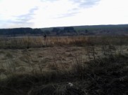 Горение удалось ликвидировать до приезда пожарных.