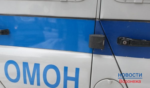 Полиция поймала вора.