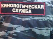 Выйти на след помогла служебная собака с кинологом.