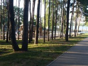 Днем воздух в Воронеже прогреется до 19 градусов тепла.