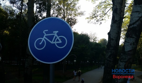 Горожанам предлагают пересесть на велосипеды.