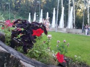 Воздух прогреется до 20 градусов.
