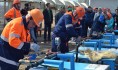 Конкурс профессионального мастерства.