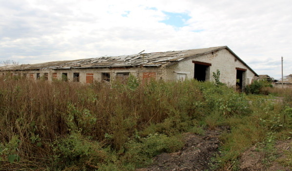 Бывшая ферма в селе Ударник.
