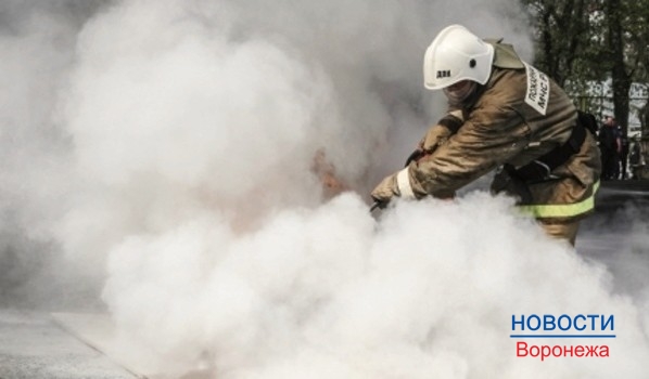 Пожары часто тушат добровольцы.