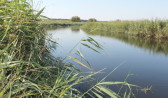 Река Старая Чигла.
