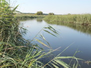 Река Старая Чигла.