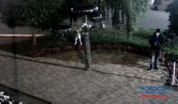 У памятника воронежского Котенка с улицы Лизюкова установили видеокамеры.