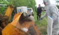 Ввели карантин из-за АЧС.