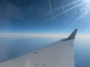 Из Воронежа можно будет улететь в Дубай.
