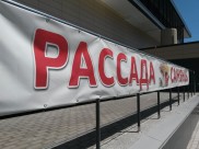 Воронежец предпочел рассаду не купить, а украсть.