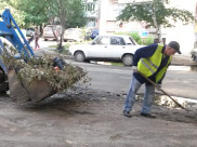 В месячнике по благоустройству приняли участие более 300 тысяч человек.