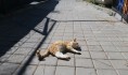 В Воронеж вернулось тепло.
