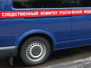 СКР проводит проверку.