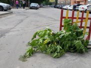 Воронежу могут выделить федеральные деньги на ремонт дорог.
