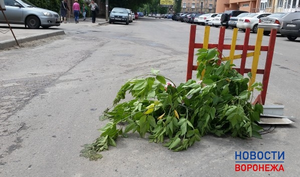 Воронежу могут выделить федеральные деньги на ремонт дорог.