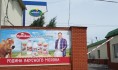«Молвест».
